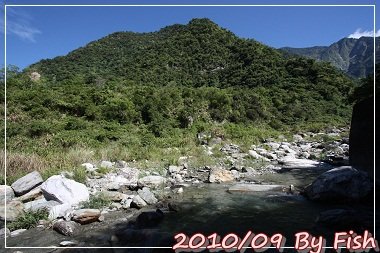 IMG_7109.jpg