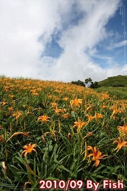 IMG_6148.jpg