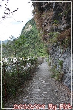 IMG_7048.jpg