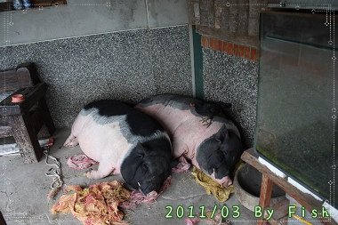 IMG_9908.jpg