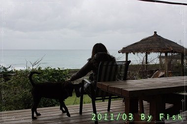 IMG_9943.jpg