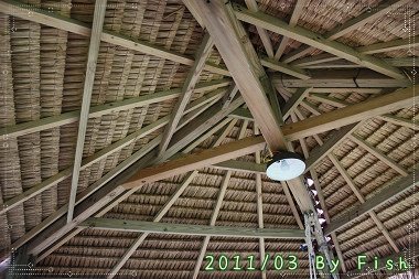 IMG_9979.jpg