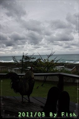 IMG_0058.jpg