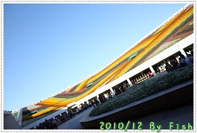 IMG_9354.jpg