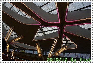 IMG_9393.jpg