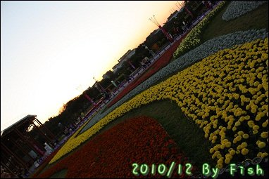 IMG_9420.jpg