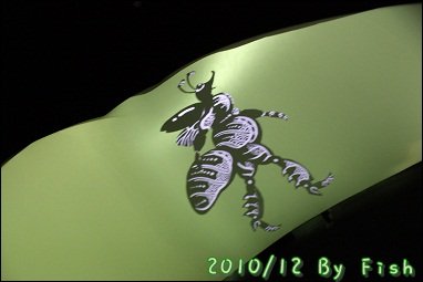IMG_9481.jpg
