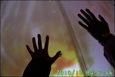 IMG_9503.jpg