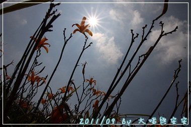 DPP_0153.jpg
