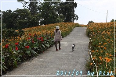 IMG_3720.jpg