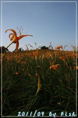 IMG_3727.jpg