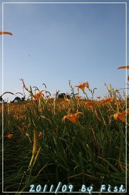IMG_3726.jpg