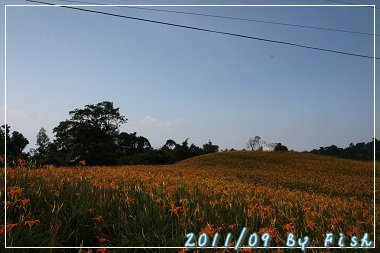 IMG_3728.jpg