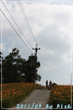 IMG_3746.jpg