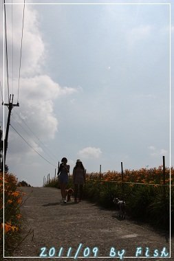 IMG_3752.jpg