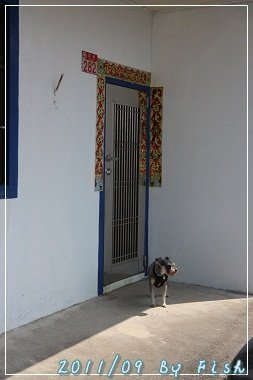 IMG_3768.jpg