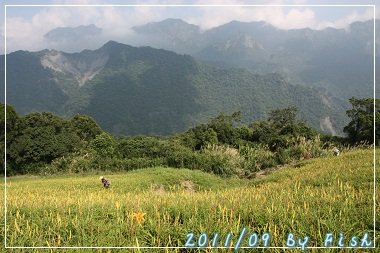 IMG_3786.jpg