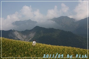 IMG_3789.jpg