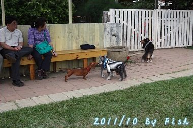 IMG_5708.jpg