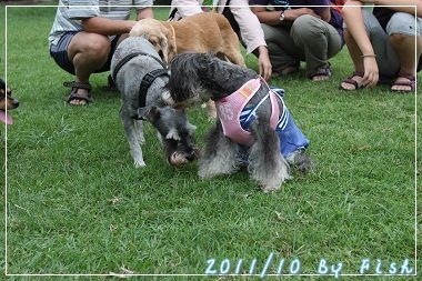 IMG_5715.jpg