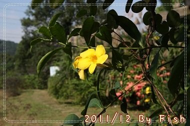 IMG_6822.jpg