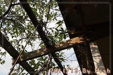 IMG_6924.jpg
