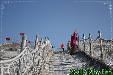 IMG_7503.jpg