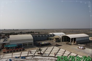IMG_7516.jpg