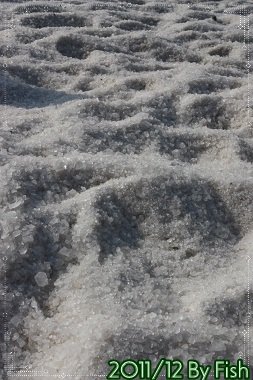 IMG_7556.jpg