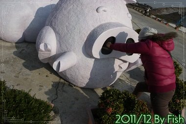 IMG_7562.jpg