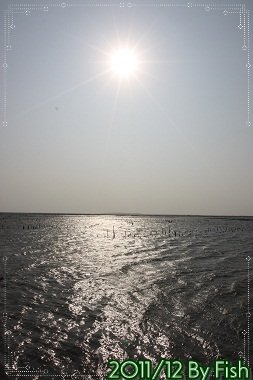 IMG_7566.jpg