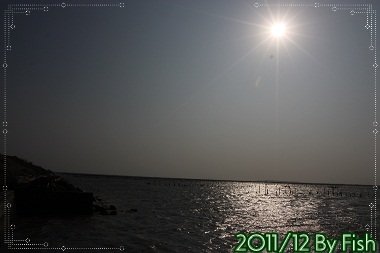 IMG_7579.jpg