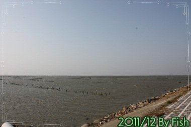 IMG_7598.jpg