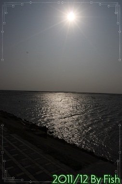 IMG_7601.jpg