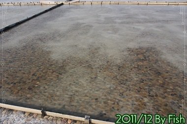 IMG_7635.jpg