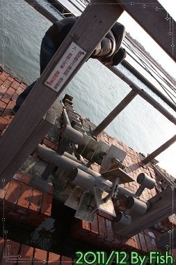 IMG_7657.jpg