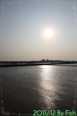IMG_7700.jpg