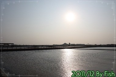 IMG_7701.jpg