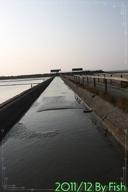 IMG_7703.jpg