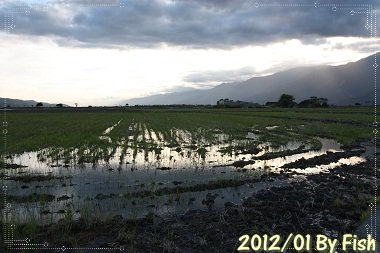 IMG_8924.jpg