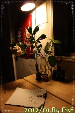 IMG_9318
