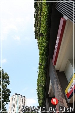 IMG_0141