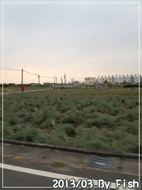 IMG_5385