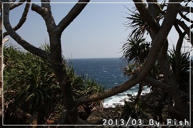 IMG_0605