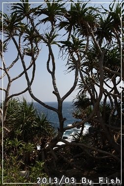 IMG_0608