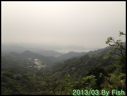 IMG_6477.jpg