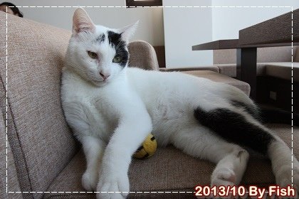 IMG_2621.jpg