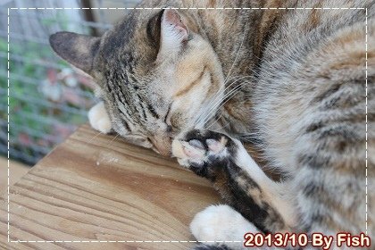 IMG_2685.jpg