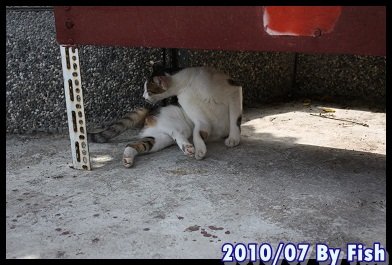 IMG_4344.jpg