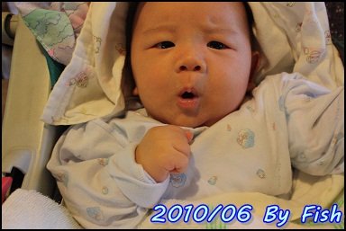 IMG_4084.jpg